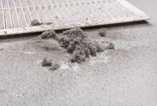 Best Home Air Vent Cleaning  in Lagrange, IN