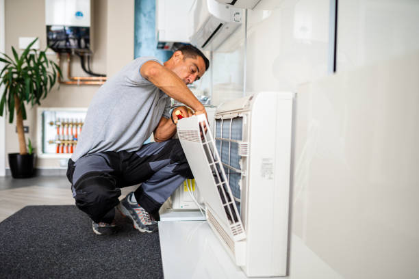 Best Air Duct Mold Removal  in Lagrange, IN