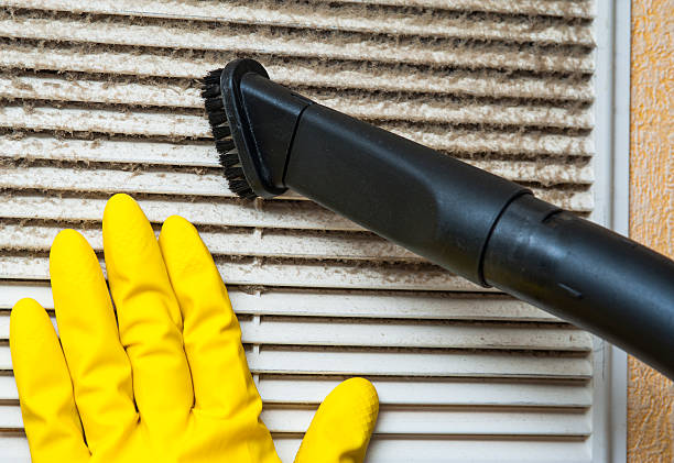 Best HVAC Duct Inspection Services  in Lagrange, IN
